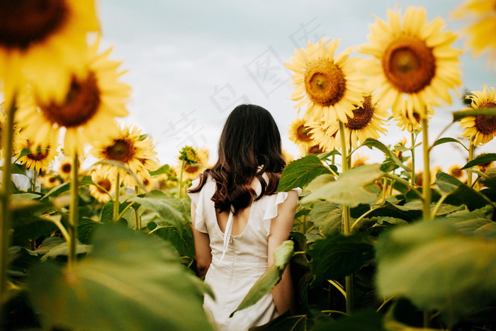 花海写真美女背影图片