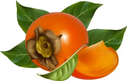 柿子 PNG免抠(900x574)