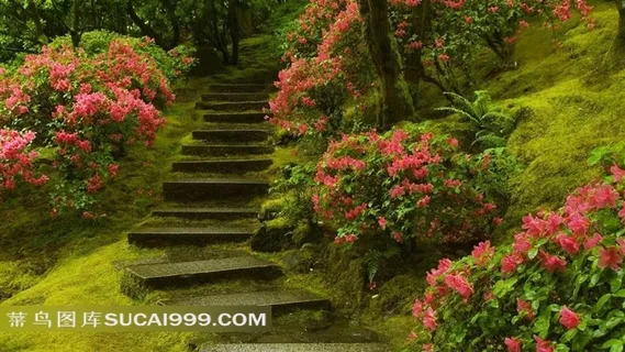 鲜花点缀的古老的石阶图片