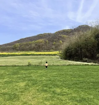 大自然/摄影/手机/自然/风景