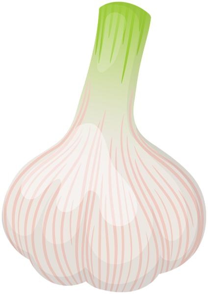 大蒜免抠(424x600)