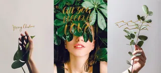 三联热带叶子美女装饰画