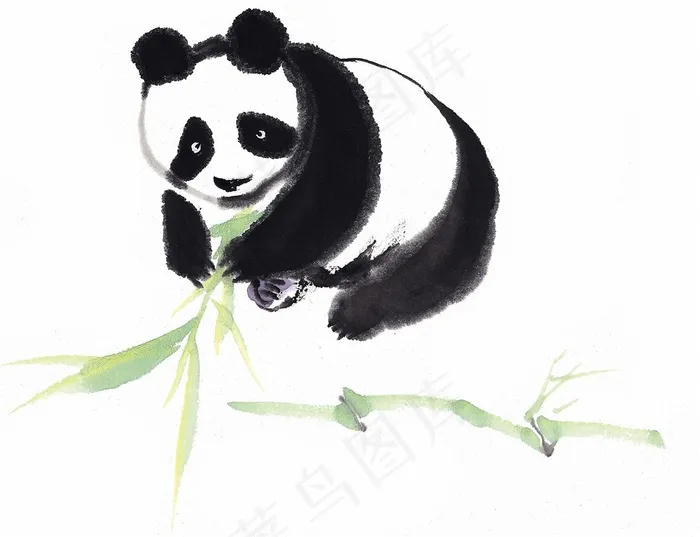 家禽设计素材