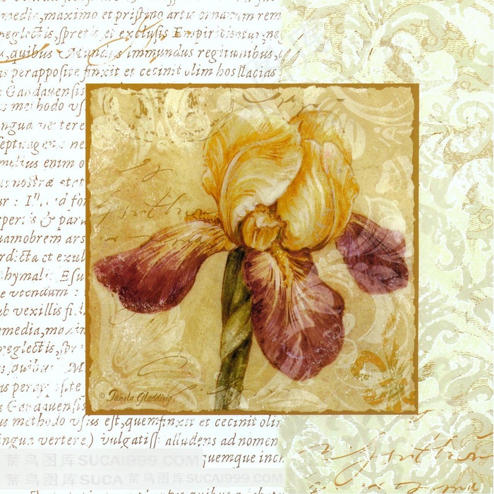 复古花卉时尚插画