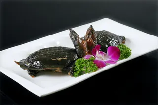 L00317卤水马蹄甲鱼 (13)