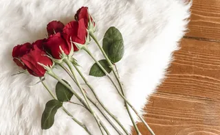 情人节红色玫瑰