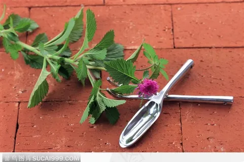简约插花艺术 简约插花艺术
