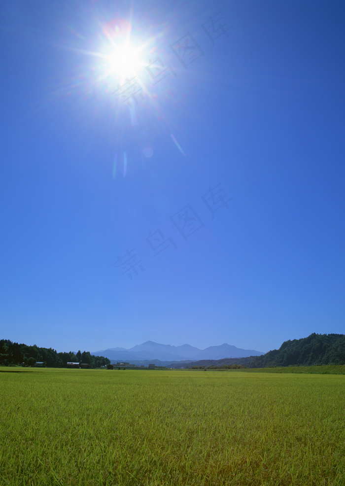 田园风光图片