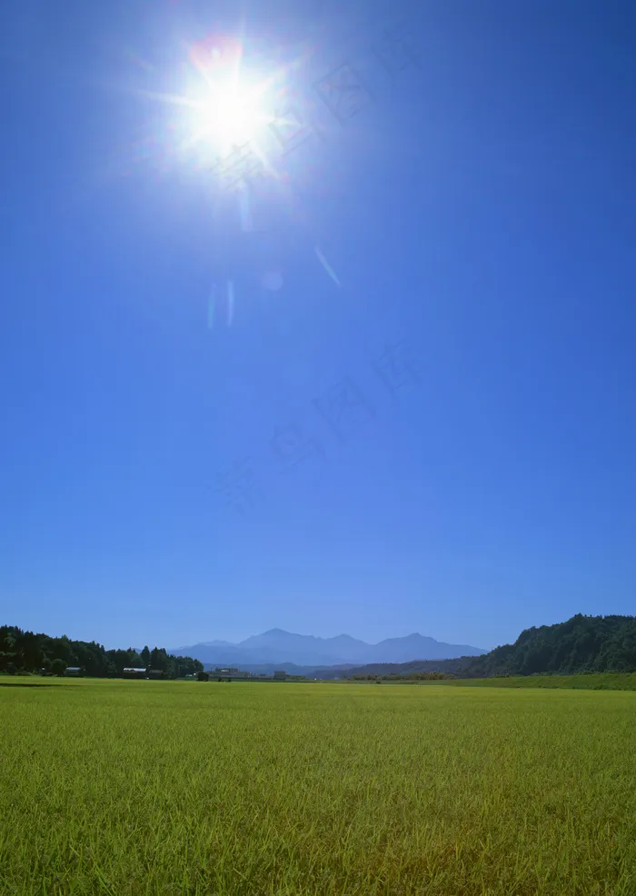 田园风光图片