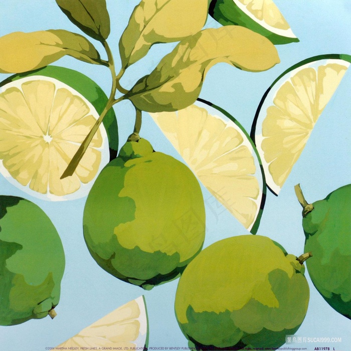 青色橘子艺术插画