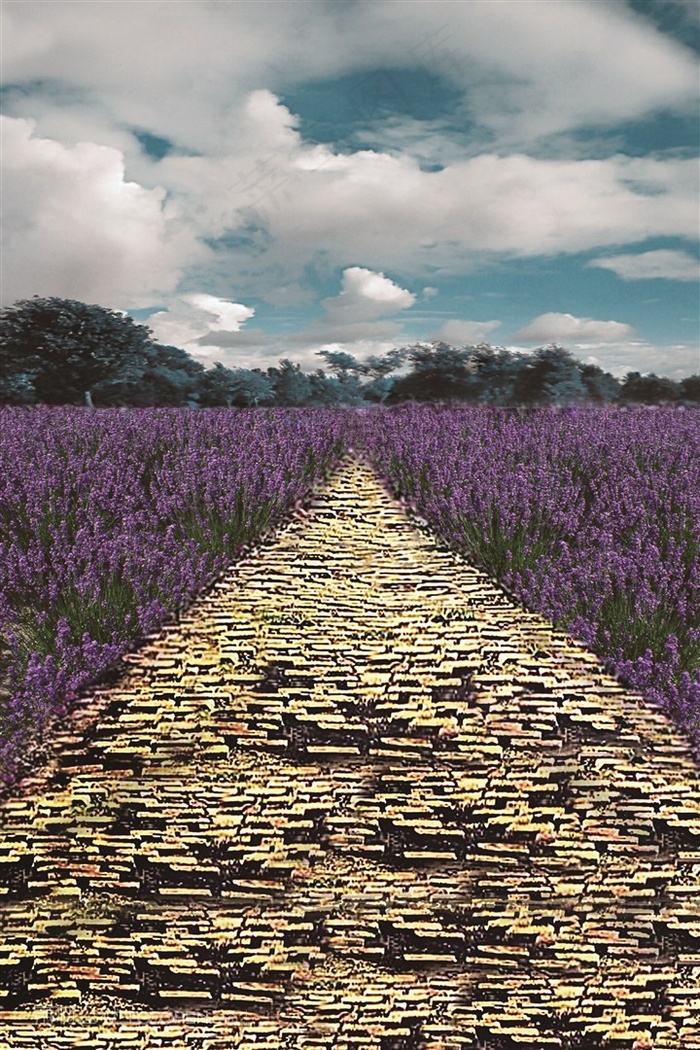 薰衣草花圃风景画