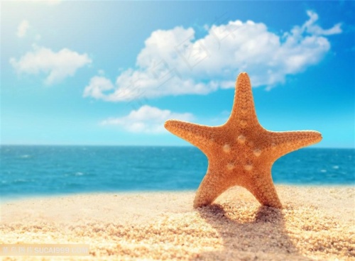 夏日海滩商业宣传图片