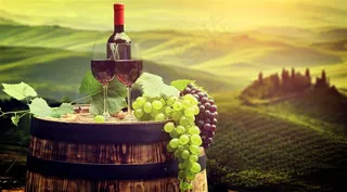 夕阳下的葡萄酒图片