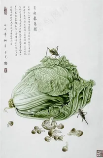 蔬菜香菇中式插画