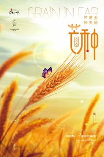 芒种 芒种活动物料