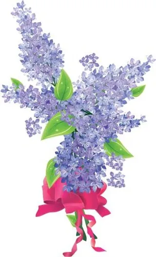 紫丁香 PNG免抠