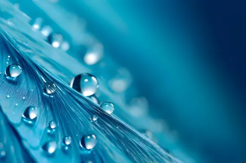 露珠蓝色清新大气背景