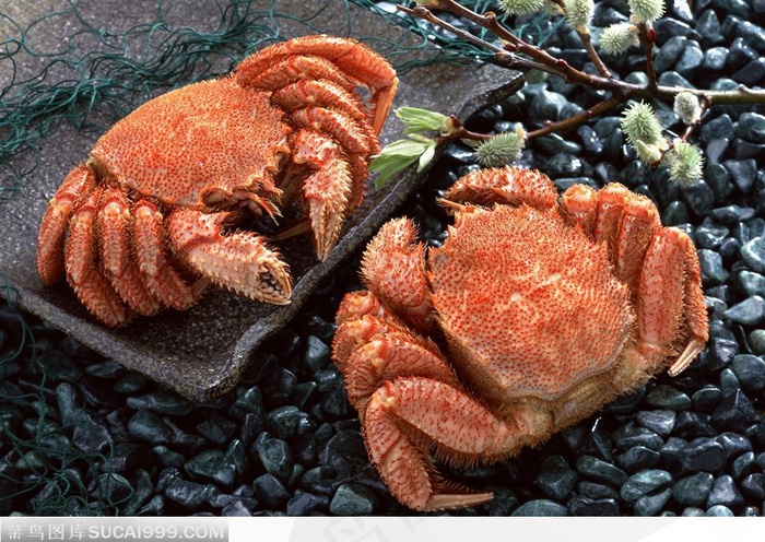 黑砂石上的两只煮熟了的螃蟹