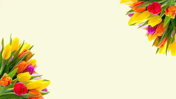 鲜花图框背景图片