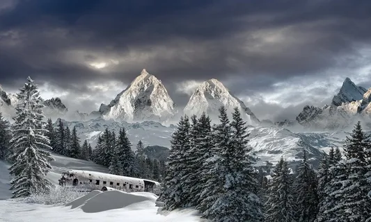 冬天白色背景风景 冬天白色背景风景
