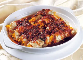 0911LCS-486酱香卷心菜