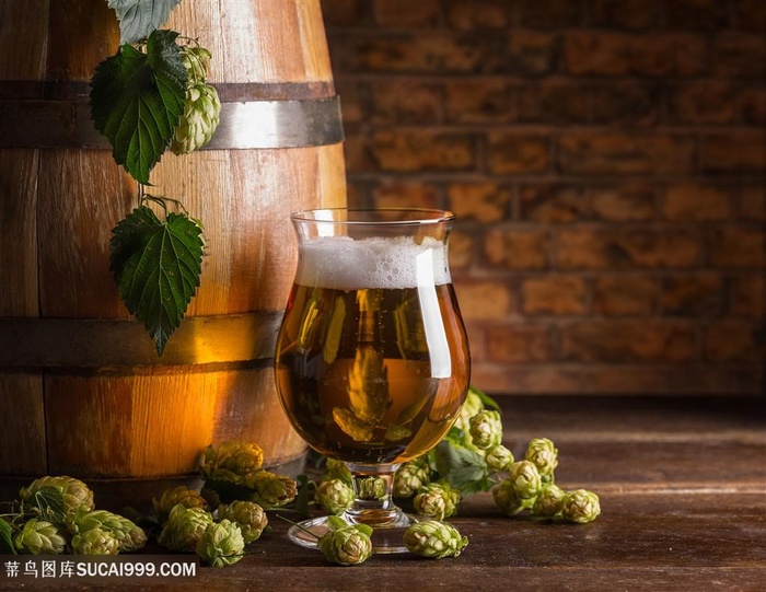 酒窖里的啤酒杯喝酒柜