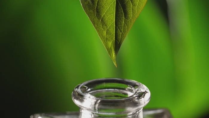 准备替代疗法油