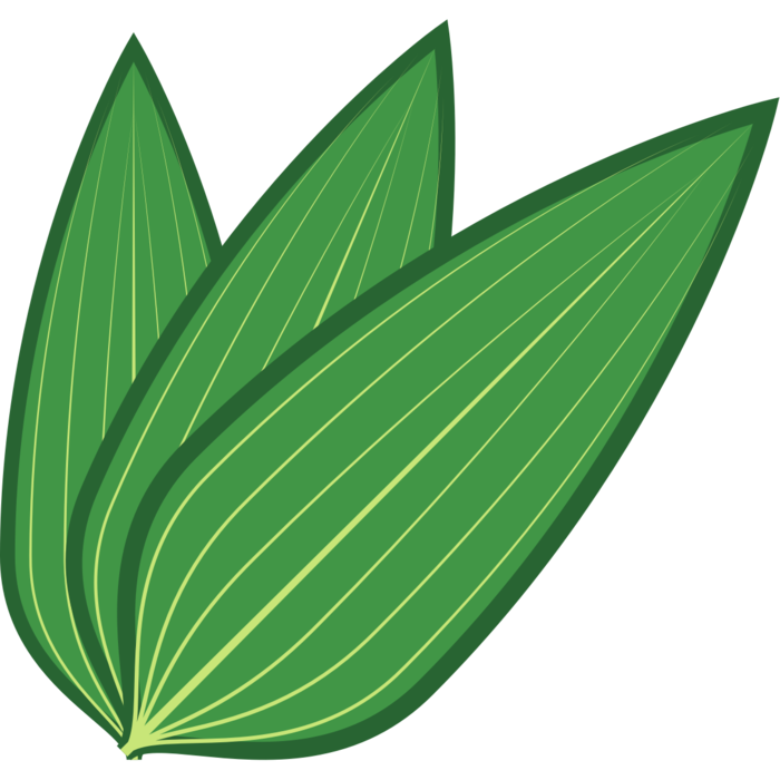 端午节粽叶元素