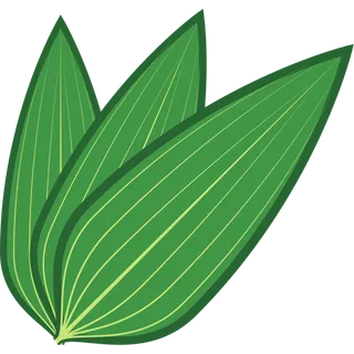 端午节粽叶元素
