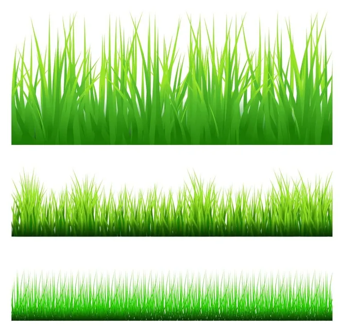 矢量 小草图片cdr矢量模版下载