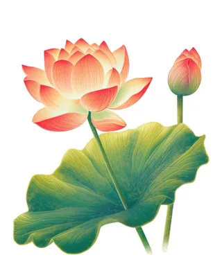 国潮荷花清新元素