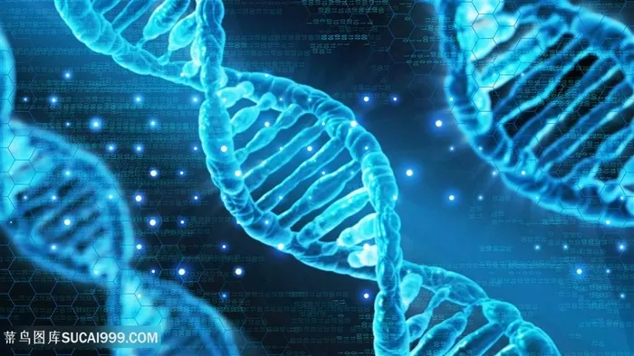 医疗科技DNA分子结构