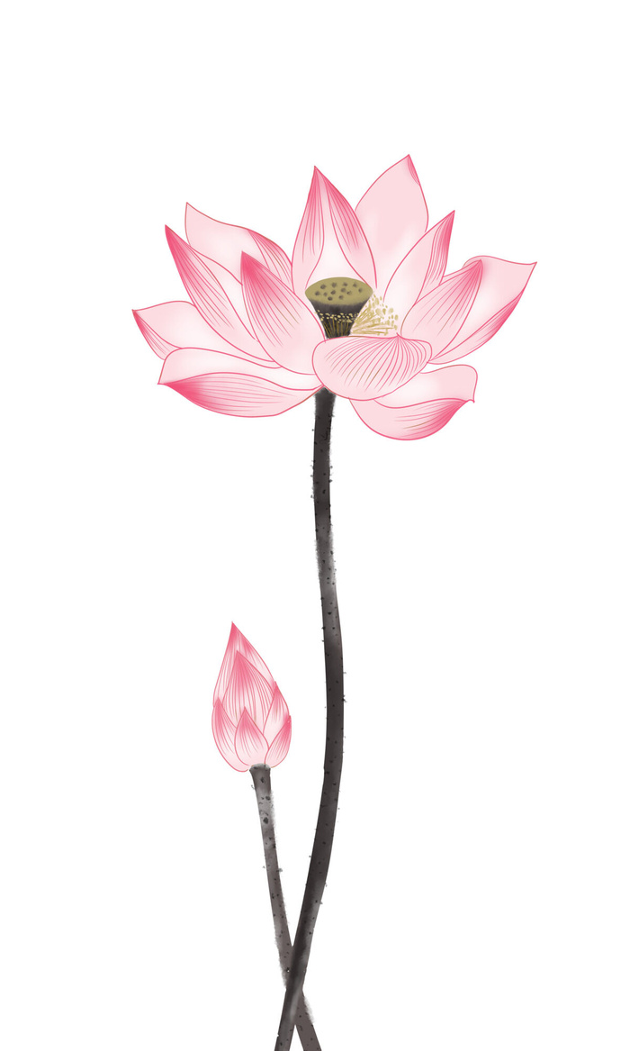 国潮中国风手绘荷花莲花荷叶莲藕植物花卉装饰插画PSD设计素材