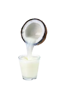 椰汁png免扣素材 拷贝