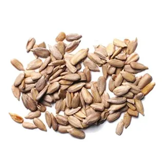 向日葵种子 PNG免抠