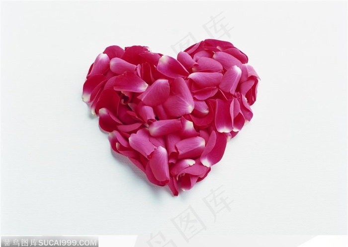 心形的红色花瓣