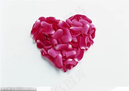 心形的红色花瓣