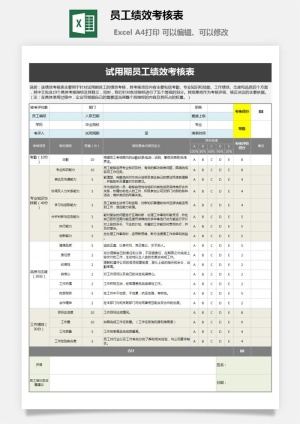 员工绩效考核表3