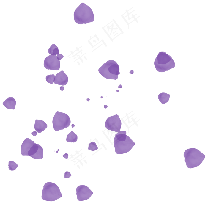 花瓣花朵免扣图片 