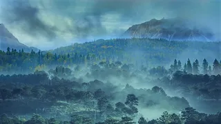 冬天白色背景风景