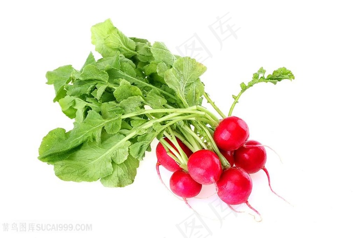 素食蔬菜萝卜