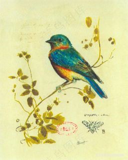 树枝鸟唯美艺术装饰画