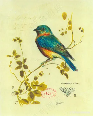 树枝鸟唯美艺术装饰画