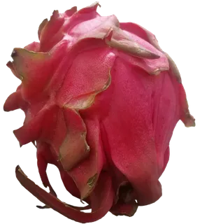 红绿新鲜红心火龙果免抠摄影元素素材