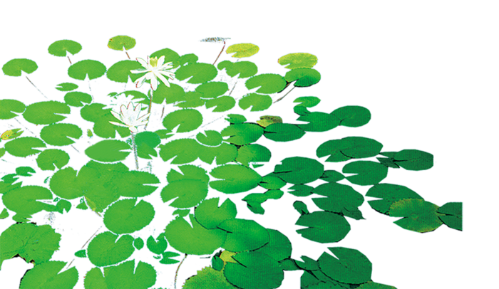 中国古风元素水生植物
