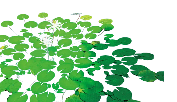 中国古风元素水生植物