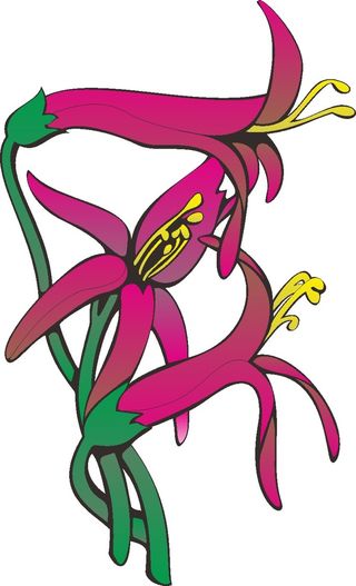 卡通动漫动画鲜花花草太阳花海报名片免扣图片素材矢量图