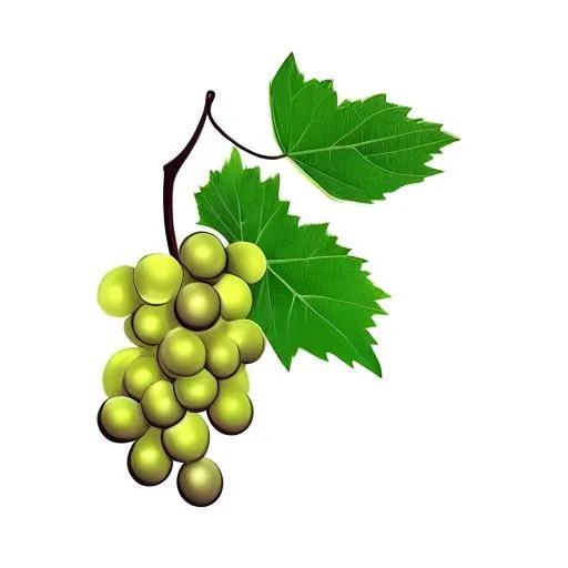 葡萄水果免抠(2048x2048)