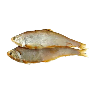 鱼类(57)海鲜超市商品红酒白底图免抠实物摄影png格式图片透明底