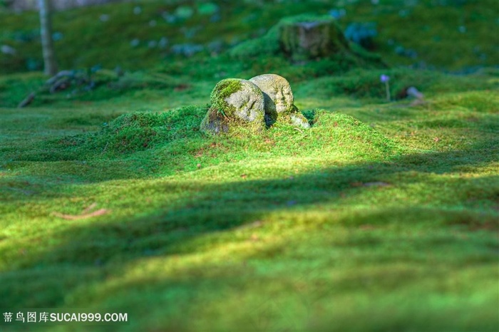 日本地藏古老的守护神雕塑